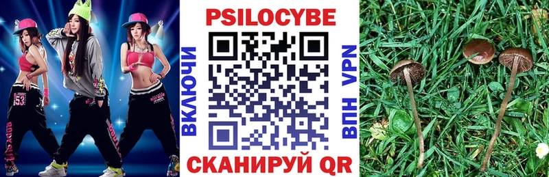 Галлюциногенные грибы прущие грибы MEGA вход Ессентуки