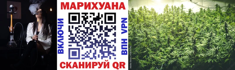 Канабис семена Ессентуки